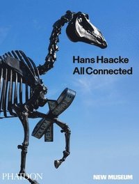 bokomslag Hans Haacke