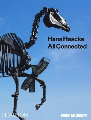 Hans Haacke 1