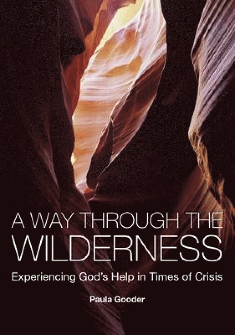 Paula Gooder - Way Through the Wilderness, Häftad