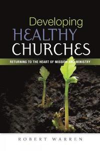 bokomslag Developing Healthy Churches