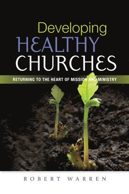 bokomslag Developing Healthy Churches