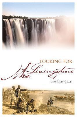 bokomslag Looking for Mrs Livingstone