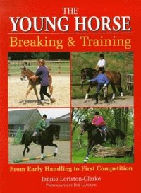 bokomslag The Young Horse