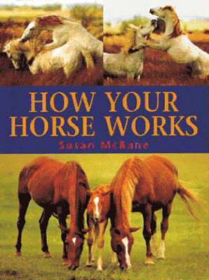 bokomslag How Your Horse Works