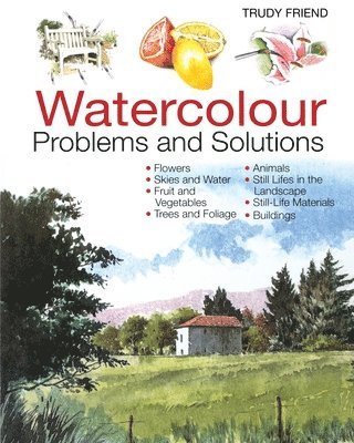Trudy Friend - Watercolour Problems and Solutions, Häftad