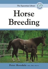 bokomslag Horse Breeding