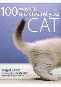 bokomslag 100 Ways To Understand Your Cat