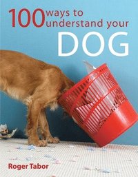 bokomslag 100 Ways to Understand Your Dog