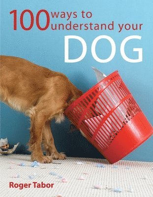 100 Ways to Understand Your Dog 1