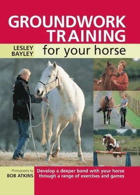Groundwork Training for Your Horse 1