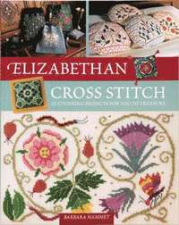 bokomslag Elizabethan Cross Stitch