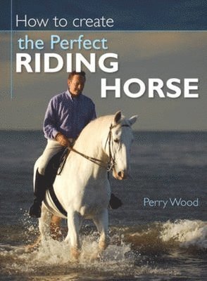How to Create the Perfect Riding Horse 1