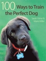 bokomslag 100 Ways to Train the Perfect Dog