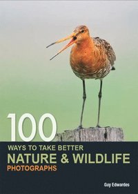 bokomslag 100 Ways to Take Better Nature & Wildlife Photographs