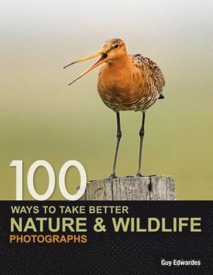 100 Ways to Take Better Nature and Wildlife Photographs 1