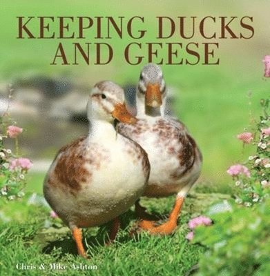 Keeping Ducks and Geese 1
