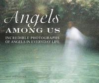 bokomslag The Angels Among Us