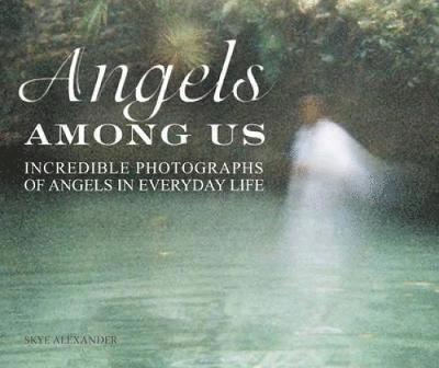 The Angels Among Us 1