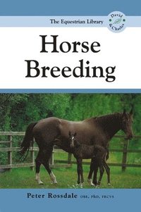 bokomslag Horse Breeding