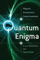 bokomslag Quantum Enigma