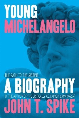 bokomslag Young Michelangelo