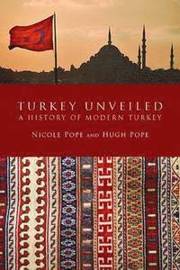 bokomslag Turkey Unveiled