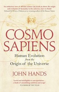 bokomslag Cosmosapiens: Human Evolution from the Origin of the Universe