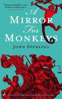 bokomslag Mirror for Monkeys