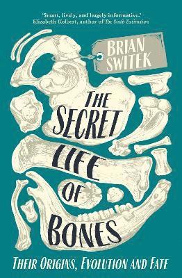 bokomslag Secret Life of Bones