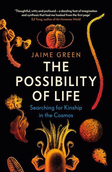 Jaime Green - Possibility of Life, Inbunden