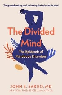 bokomslag The Divided Mind