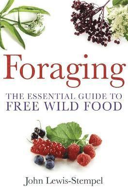 bokomslag Foraging