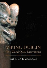 bokomslag Viking Dublin