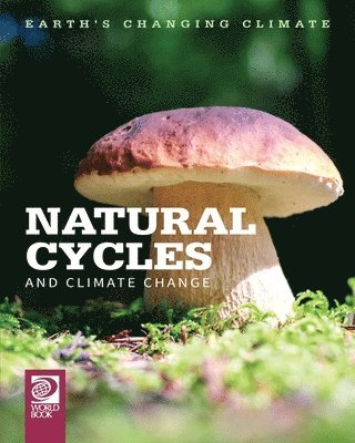 bokomslag Natural Cycles and Climate Change