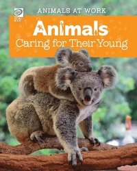 bokomslag Animals Caring for Their Young