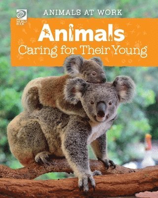 Animals Caring for Their Young 1