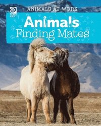 bokomslag Animals Finding Mates