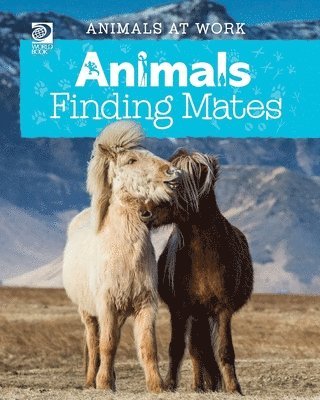Animals Finding Mates 1