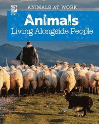 bokomslag Animals Living Alongside People