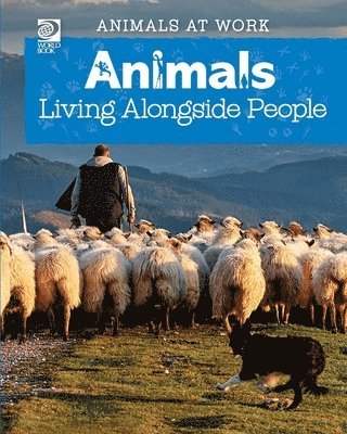 Animals Living Alongside People 1