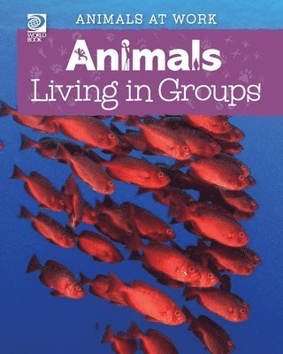 bokomslag Animals Living in Groups