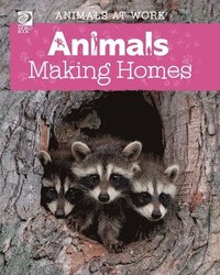 bokomslag Animals Making Homes