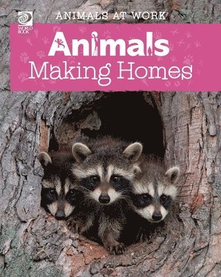 Animals Making Homes