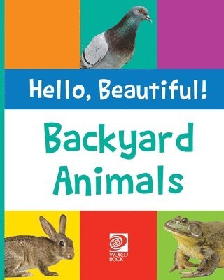 Backyard Animals 1