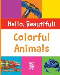 bokomslag Colorful Animals