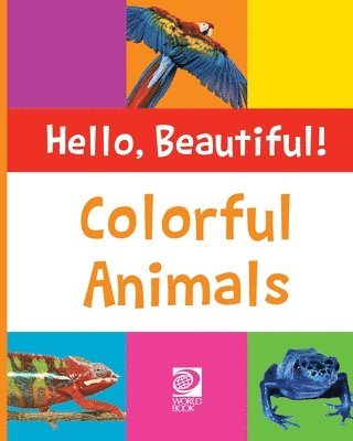 Colorful Animals 1