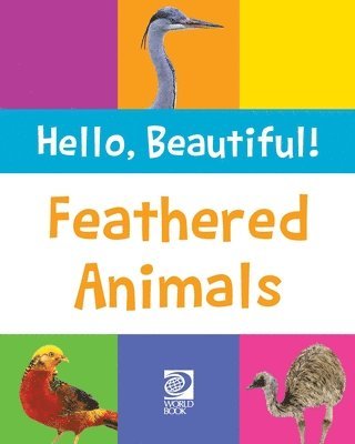 bokomslag Feathered Animals