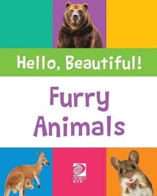 Furry Animals 1