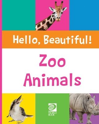 Zoo Animals 1