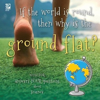 bokomslag If the world is round, then why is the ground flat?